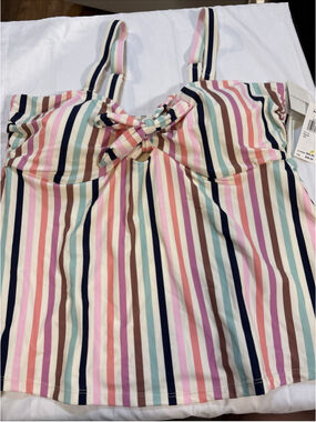 Raisin Tankini 14W NWT